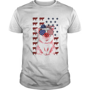 Pig American Flag Veteran Independence Day Shirt